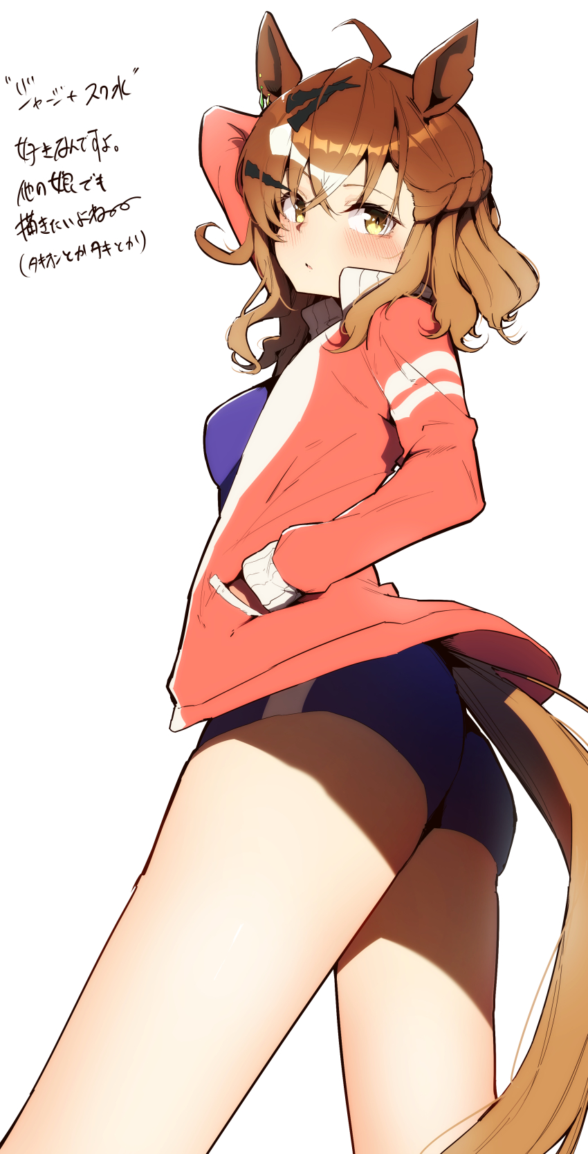 1girl, absurdres, ahoge, animal_ears, blue_one-piece_swimsuit, braid, breasts, brown_hair