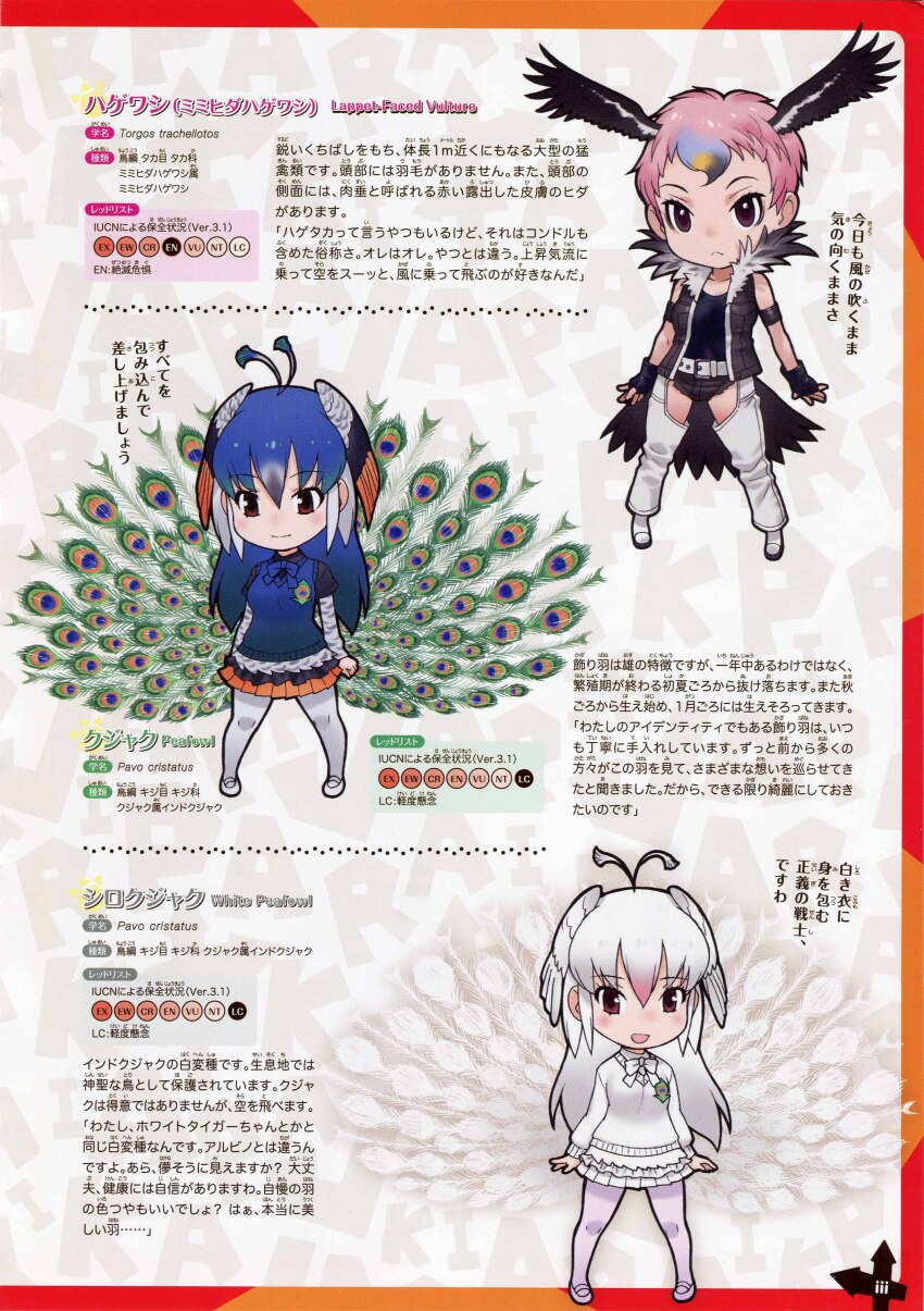 3girls, absurdres, blue_hair, full_body, highres, kemono_friends, lappet-faced_vulture_(kemono_friends), looking_at_viewer