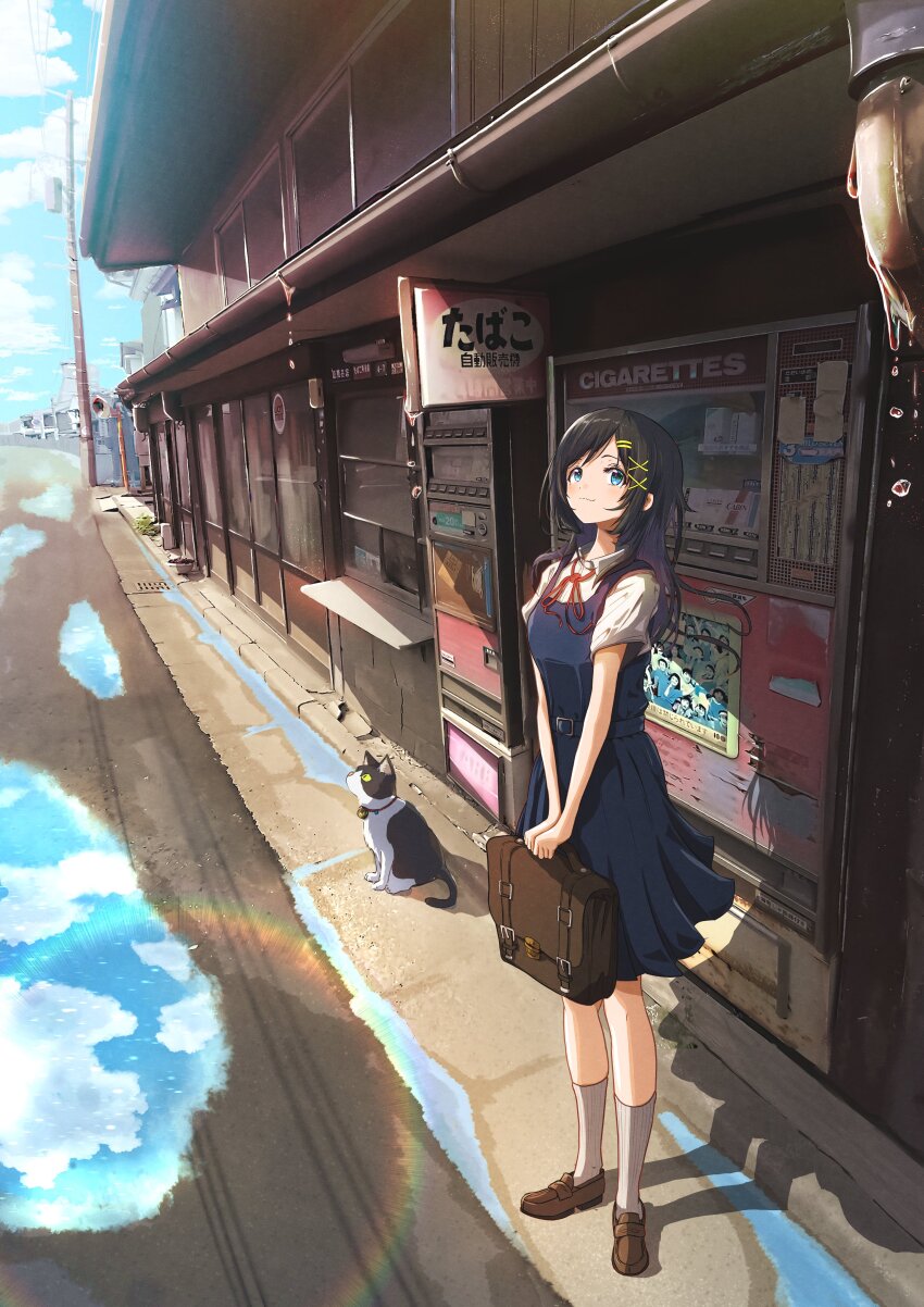 1girl, absurdres, after_rain, animal, bag, black_hair, blue_dress, blue_eyes, brown_bag, brown_shoes, cat, collared_shirt, dress, hair_ornament, hairclip, handbag, highres, holding, holding_bag, ichiha_t, loafers, long_hair, original, pinafore_dress, puddle, real_world_location, scenery, shirt, shoes, short_sleeves, sleeveless, sleeveless_dress, solo, standing, storefront, utility_pole, water, white_shirt, x_hair_ornament