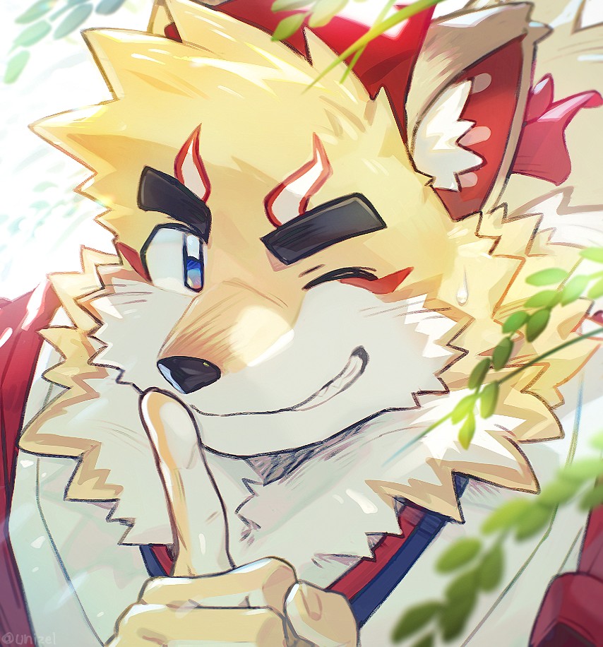 1boy, animal_ears, finger_to_mouth, fox_boy, fox_ears, furry, furry_male, hashtag-only_commentary