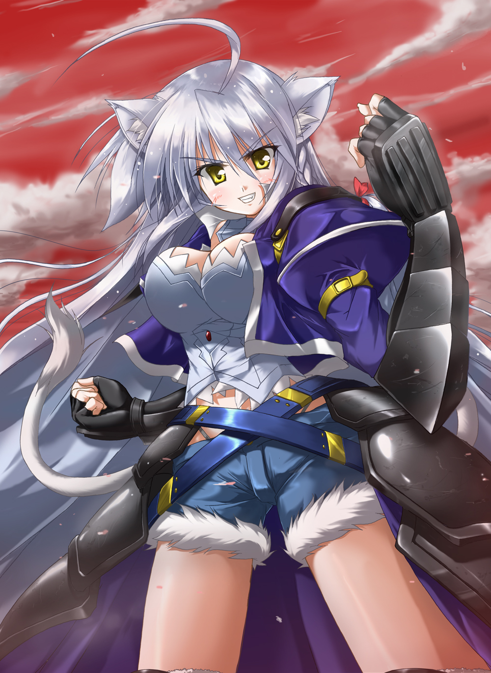 10s, 1girl, ahoge, animal_ears, armor, breasts, cat_ears, cat_tail, cloud, dog_days, female_focus, fingerless_gloves, gloves, highres, large_breasts, leonmitchelli_galette_des_rois, long_hair, red_sky, setomi_sora, setoumi_sora, shorts, silver_hair, sky, solo, tail, thighs, yellow_eyes