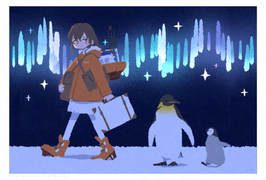 1girl, animal, aurora, bird, boots, braid, briefcase, brown_hair