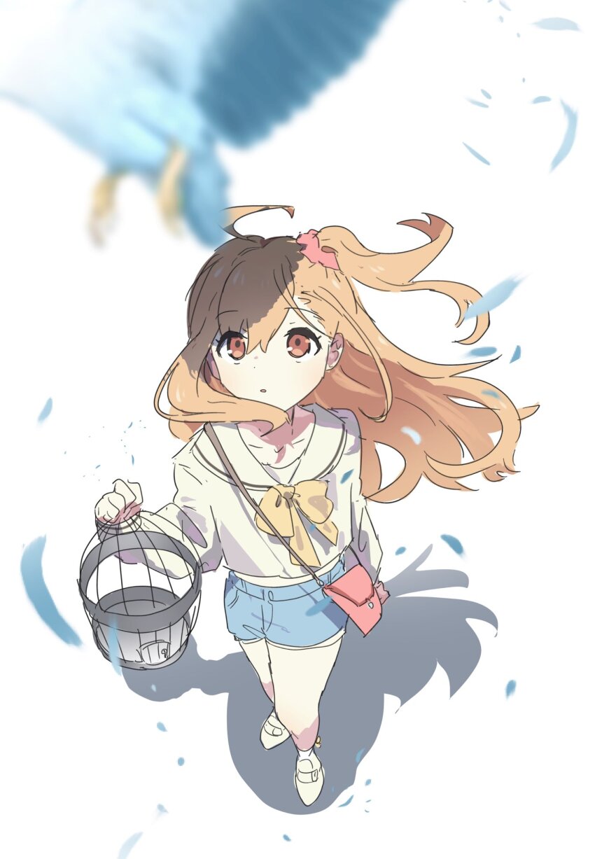 1girl, ahoge, bird, birdcage, blue_bird, blue_shorts, blurry, cage, churhami, commentary_request, depth_of_field, feathers, hair_ornament, hair_scrunchie, highres, holding, holding_cage, ikizulive!_love_live!_bluebird, long_sleeves, looking_up, love_live!, neck_ribbon, orange_eyes, orange_hair, red_scrunchie, ribbon, sailor_collar, scrunchie, shirt, shorts, side_ponytail, solo, takahashi_polka, white_background, white_sailor_collar, white_shirt, yellow_ribbon