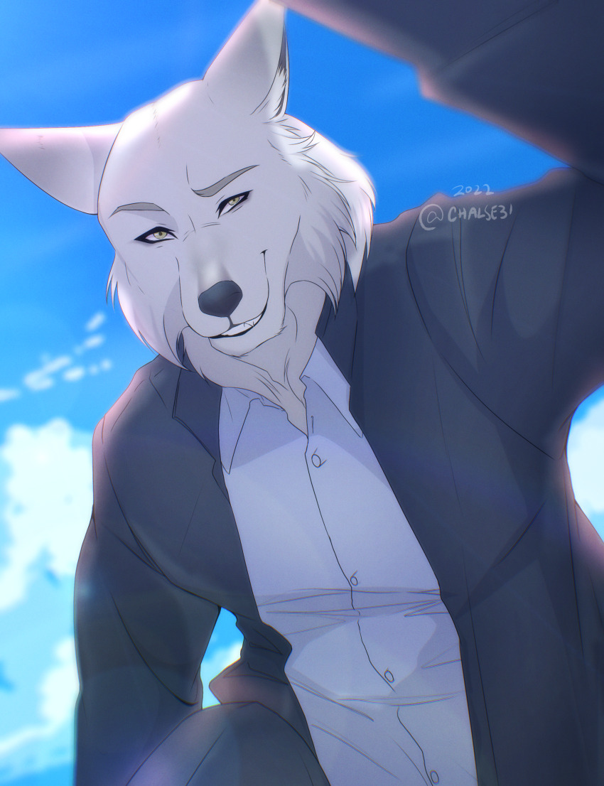 1boy, absurdres, animal_ears, artist_name, black_coat, blue_sky, chalse31, cloud