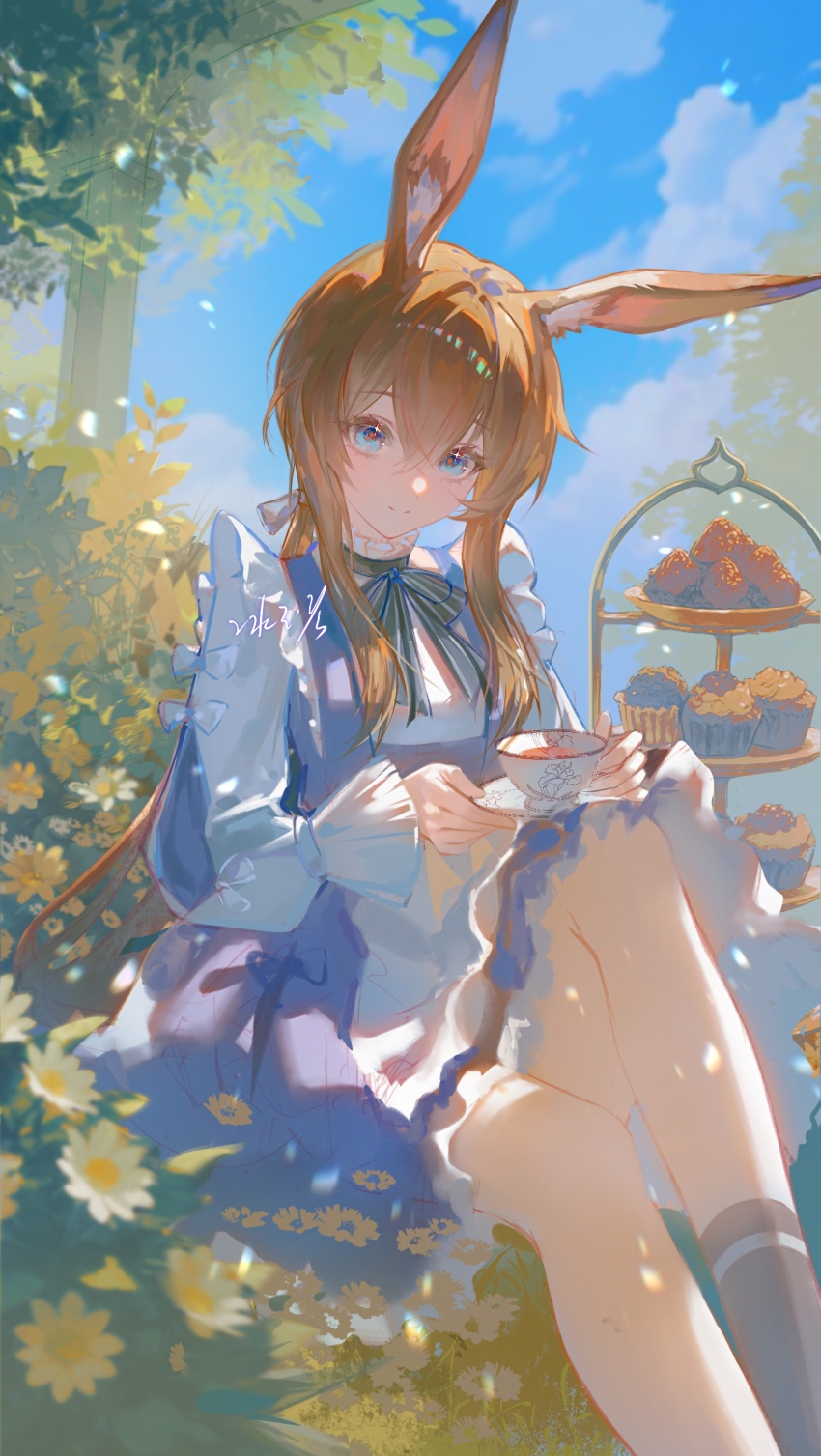 1girl, alice_(alice_in_wonderland), alice_(alice_in_wonderland)_(cosplay), alternate_costume, amiya_(arknights), animal_ear_fluff, animal_ears, apron, arknights, bingyuqin, black_ribbon, black_socks, blue_dress, blue_eyes, brown_hair, closed_mouth, cosplay, cup, dress, hair_between_eyes, highres, holding, holding_cup, holding_plate, kneehighs, long_hair, looking_at_viewer, outdoors, plate, rabbit_ears, rabbit_girl, ribbon, sidelocks, single_sock, smile, socks, solo, white_apron