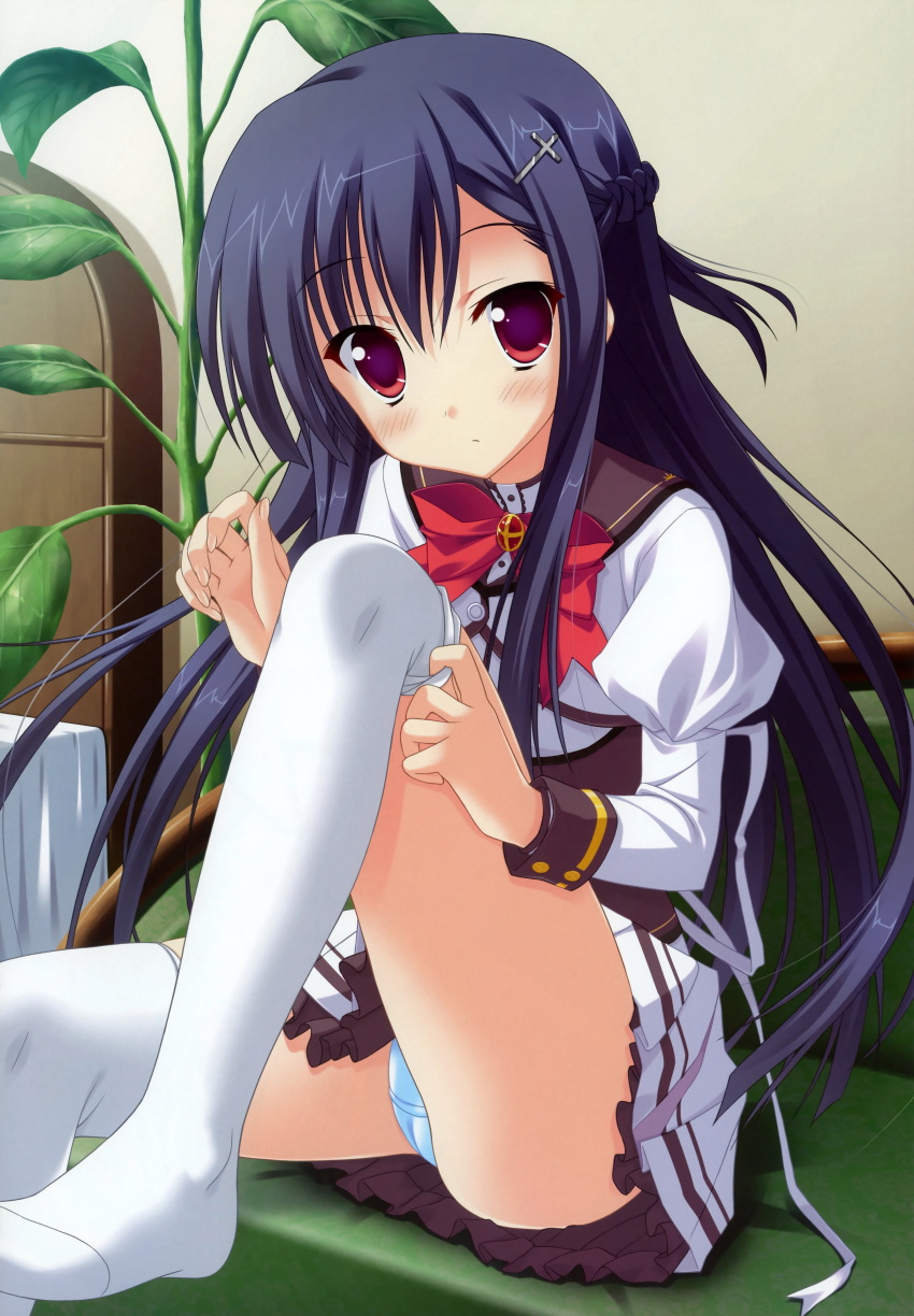 1girl, absurdres, blue_panties, blush, braid, female_focus, hair_ornament, hairpin