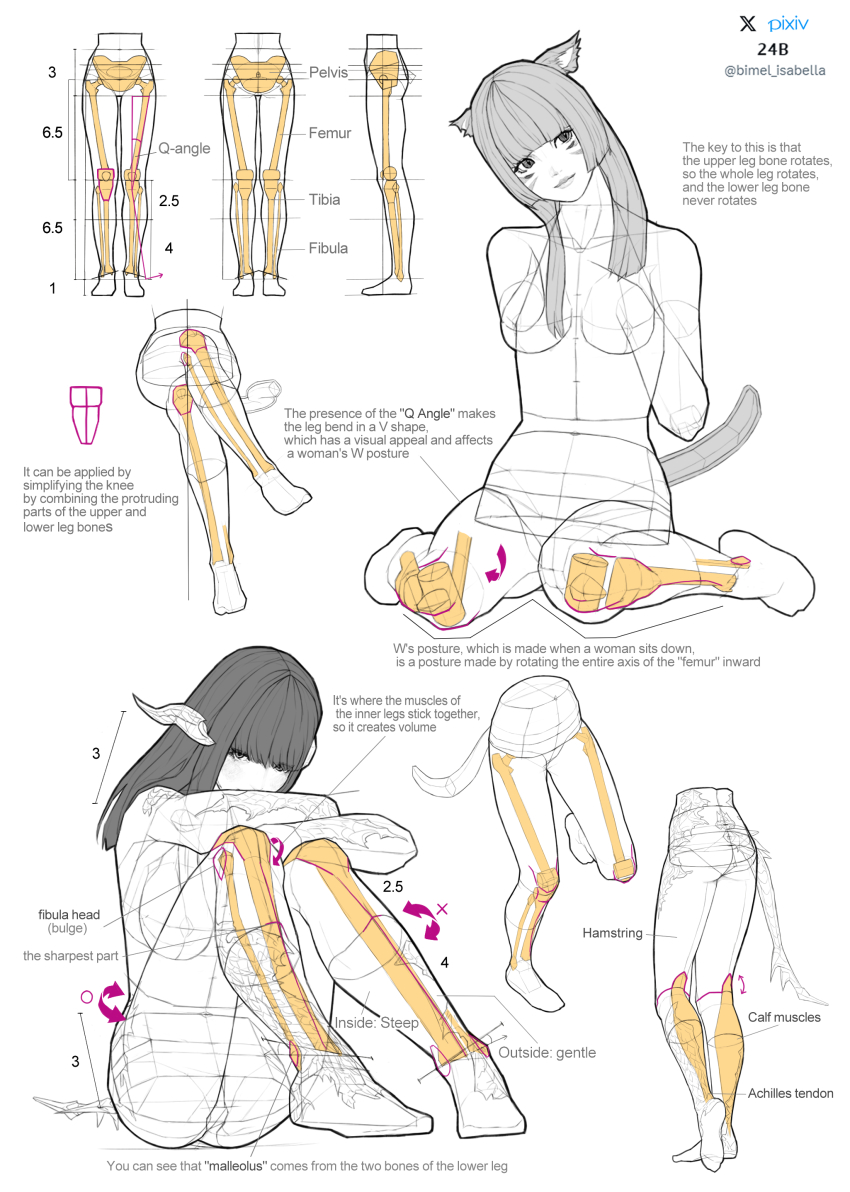 2girls, absurdres, anatomy, animal_ears, ass, bimel_isabella, bone, breasts