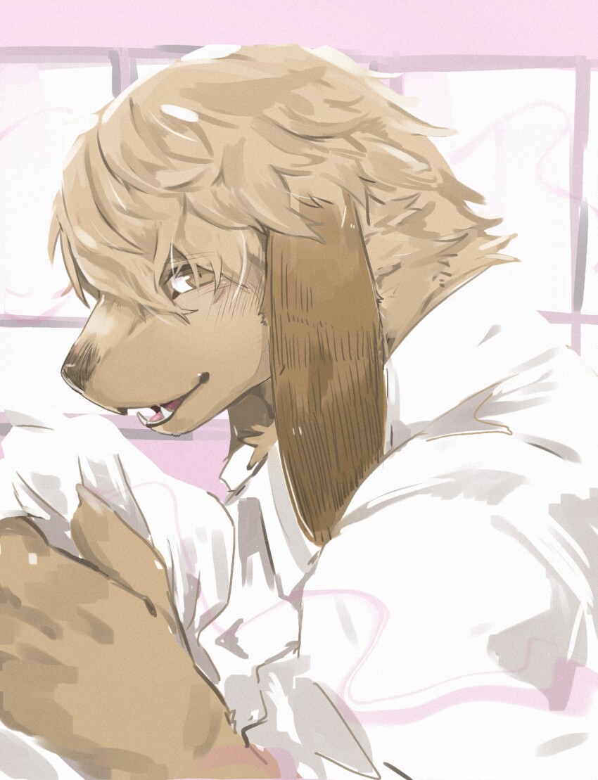 1boy, animal_ears, brown_eyes, claws, dog_boy, dog_ears, fangs, furry