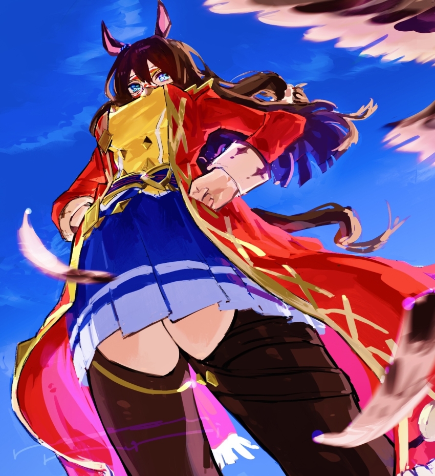 1girl, animal_ears, bird, blue_eyes, blue_skirt, brown_hair, buttons, coat