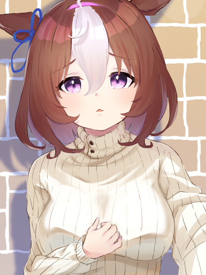 1girl, ahoge, animal_ears, blue_ribbon, breasts, brown_hair, comomo, day