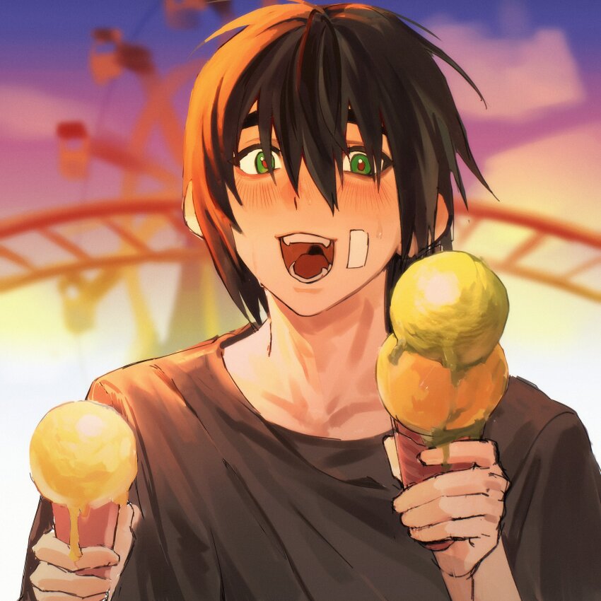 1boy, absurdres, amusement_park, black_hair, black_shirt, blush, degrees_of_lewdity, green_eyes
