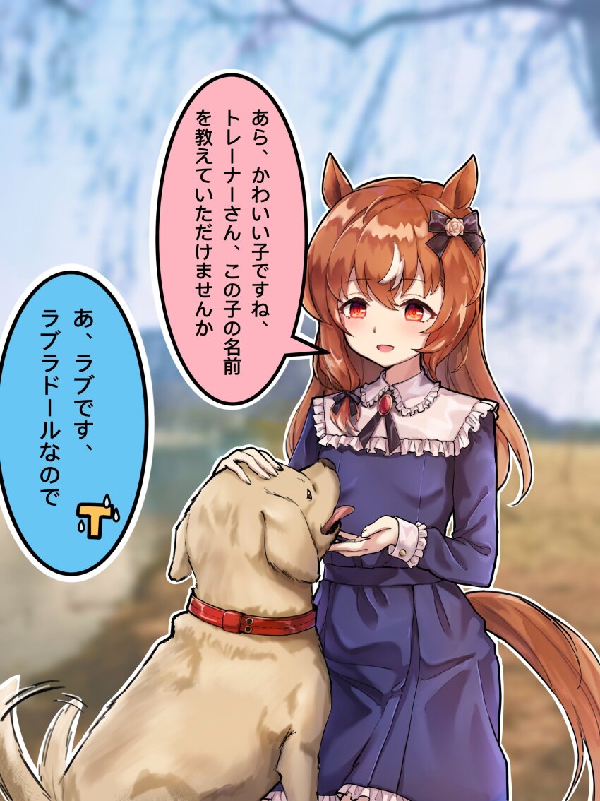 1girl, absurdres, alternate_costume, animal_ears, belt, blurry, blurry_background, blush