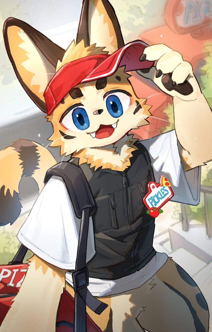 1boy, black_fur, black_vest, blue_eyes, borrowed_character, brown_fur, cheetah, delivery