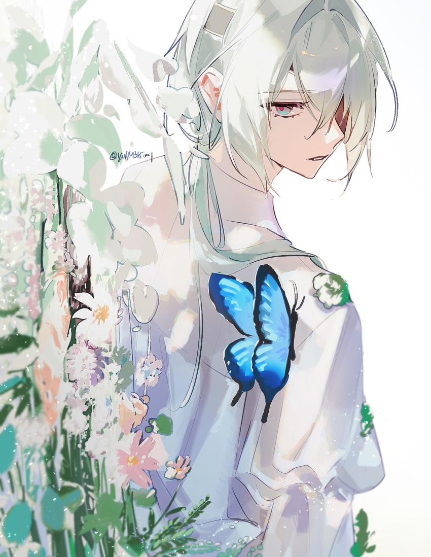 1boy, alternate_costume, anaxa_(honkai:_star_rail), aqua_hair, back, blue_butterfly, blue_eyes, bug