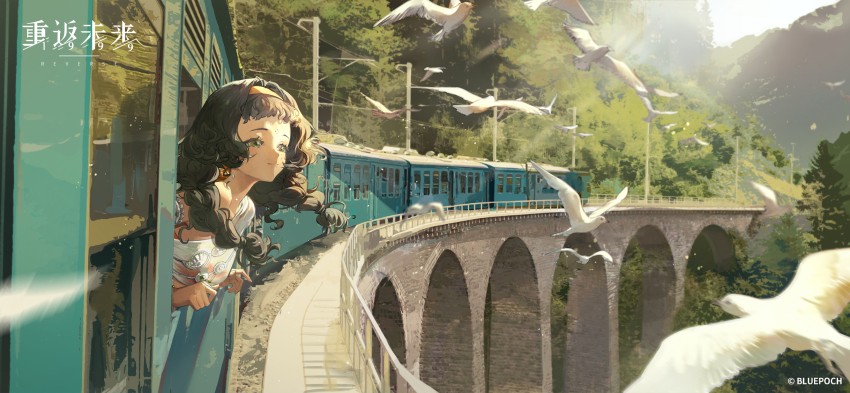 1girl, arch_bridge, bird, black_hair, braid, bridge, copyright_name, copyright_notice