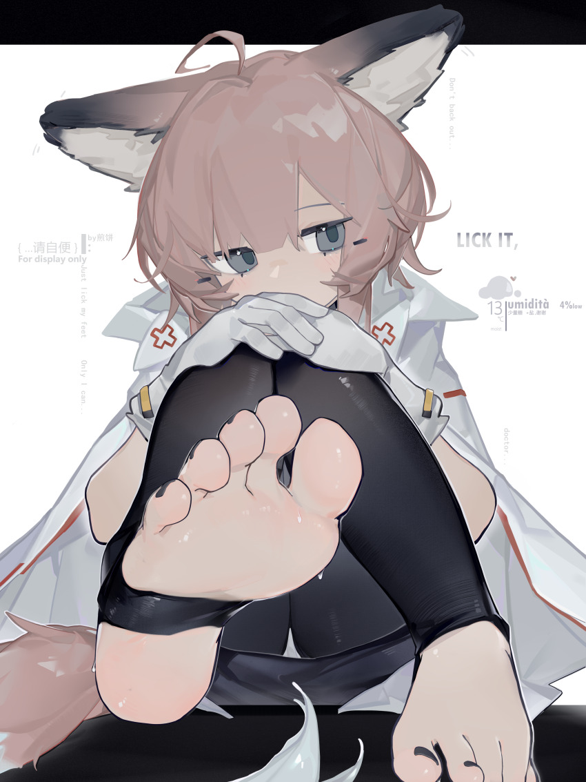 1girl, absurdres, ahoge, animal_ears, arknights, black_pantyhose, chinese_commentary, commentary_request, feet, foot_focus, fox_girl, fox_tail, gloves, highres, meiwei_de_jianbing, pantyhose, soles, solo, stirrup_legwear, sussurro_(arknights), tail, toeless_legwear, toes, white_gloves