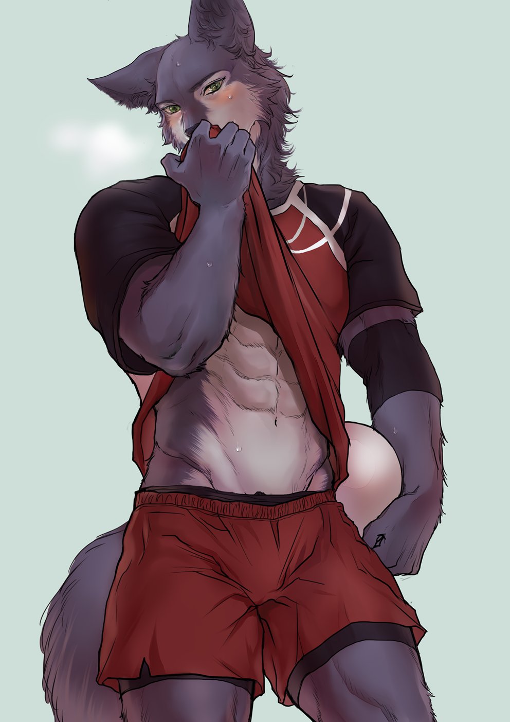 1boy, abs, animal_ears, ball, bara, blue_background, blush, chillasan