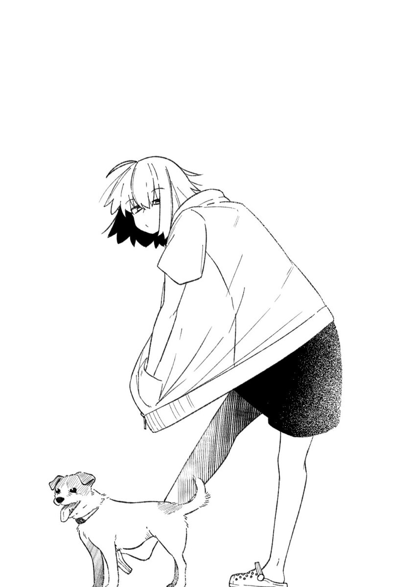 1girl, ahoge, alternate_costume, animal, contemporary, crocs, dog, fate/grand_order