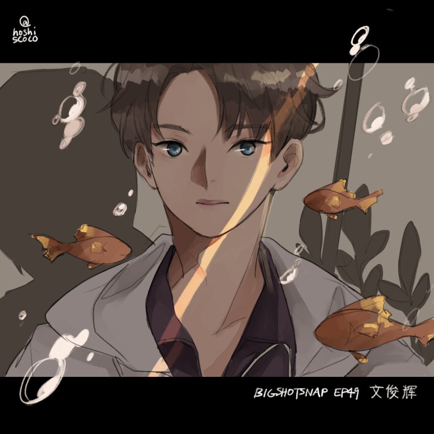 1boy, absurdres, blue_eyes, brown_hair, bubble, closed_mouth, commentary, fish, highres, hood, hoshiscoco, jun_(seventeen), k-pop, letterboxed, looking_at_viewer, male_focus, real_life, seventeen_(group), short_hair, twitter_username