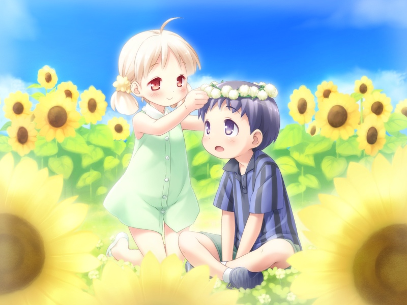 1boy, 1girl, blush, cafe_sourire, cloud, dress, flower, gayarou