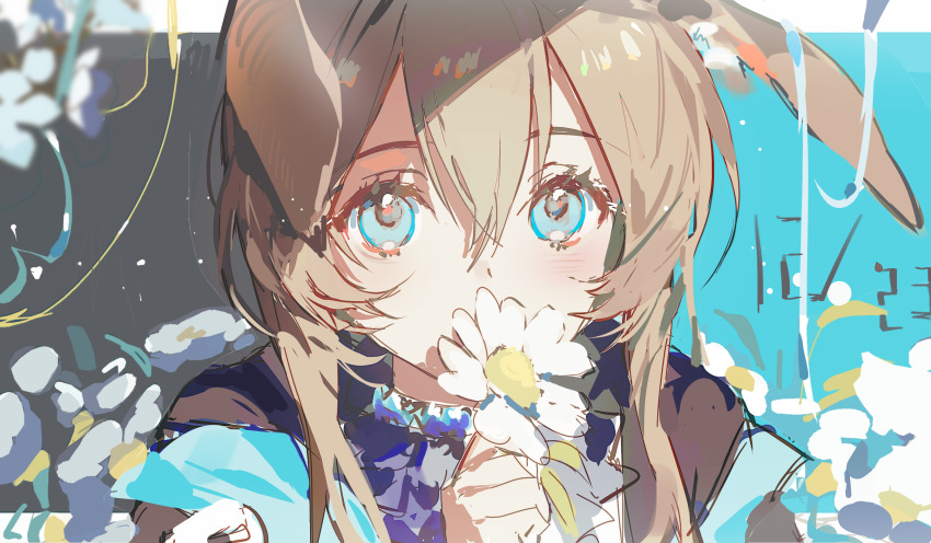 1girl, amiya_(arknights), animal_ear_fluff, animal_ears, arknights, black_coat, blue_background, blue_eyes