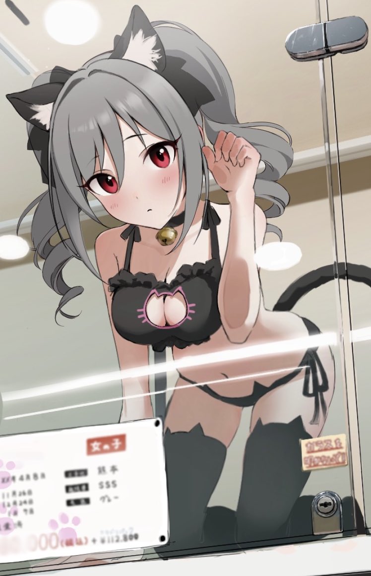 1girl, animal_ears, bare_shoulders, bell, black_bra, black_panties, black_thighhighs, blush