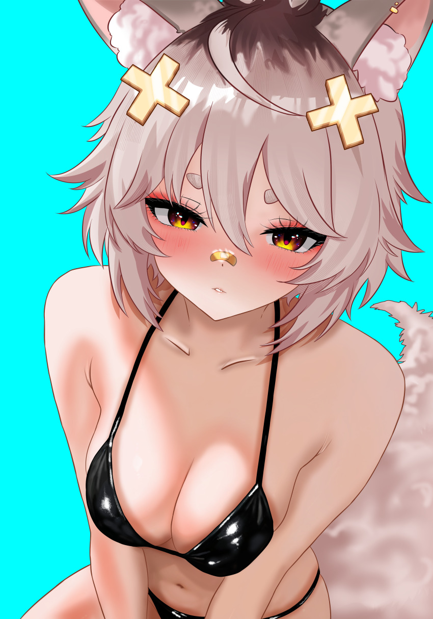 1girl, absurdres, animal_ear_fluff, animal_ears, aqua_background, bandaid, bandaid_on_face, bandaid_on_nose