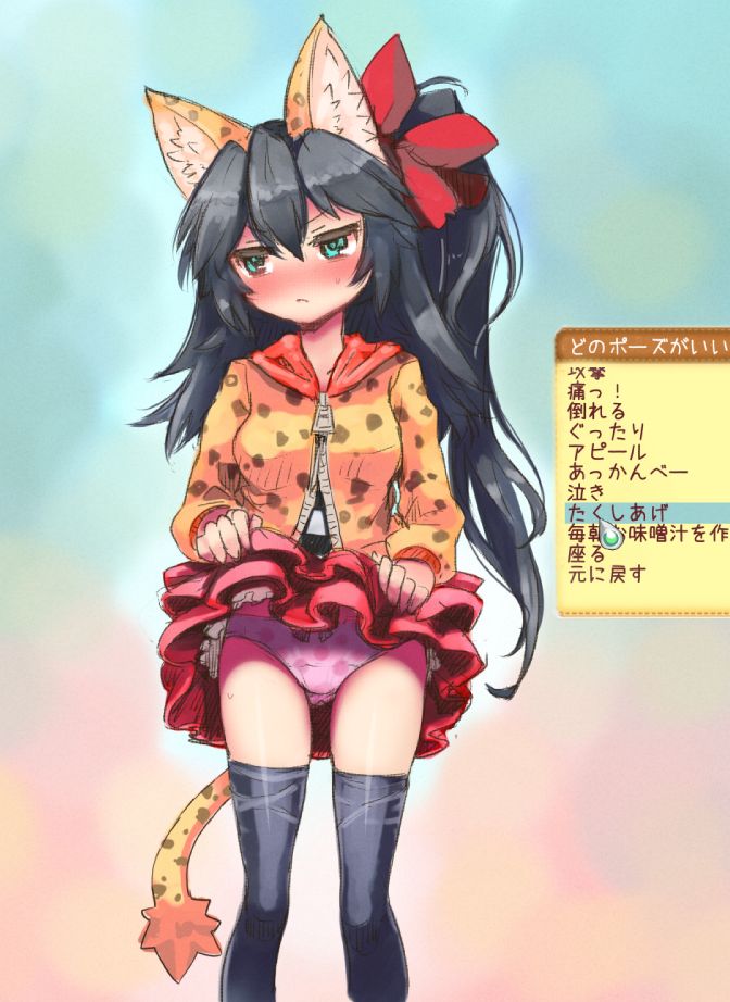 1girl, ajitarou_(setsu), animal_ears, balulu_alma, black_hair, black_thighhighs, blue_eyes, closed_mouth, clothes_lift, embarrassed, emil_chronicle_online, frilled_skirt, frills, hair_ribbon, hood, hooded_jacket, jacket, long_hair, panties, pink_panties, red_ribbon, red_skirt, ribbon, side_ponytail, simple_background, skirt, skirt_lift, tail, thighhighs, underwear