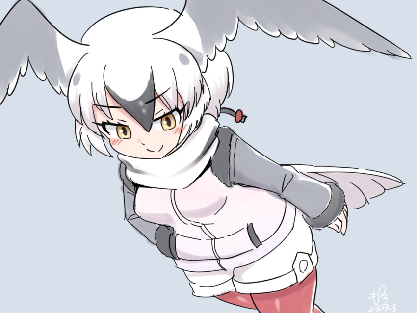 bird_girl, bird_tail, bird_wings, blush, cowboy_shot, from_above, fur_trim, grey_fur