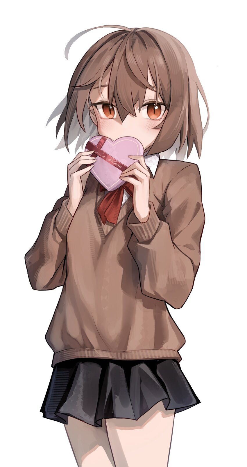1girl, absurdres, ahoge, black_skirt, blush, box, brown_hair, brown_sweater