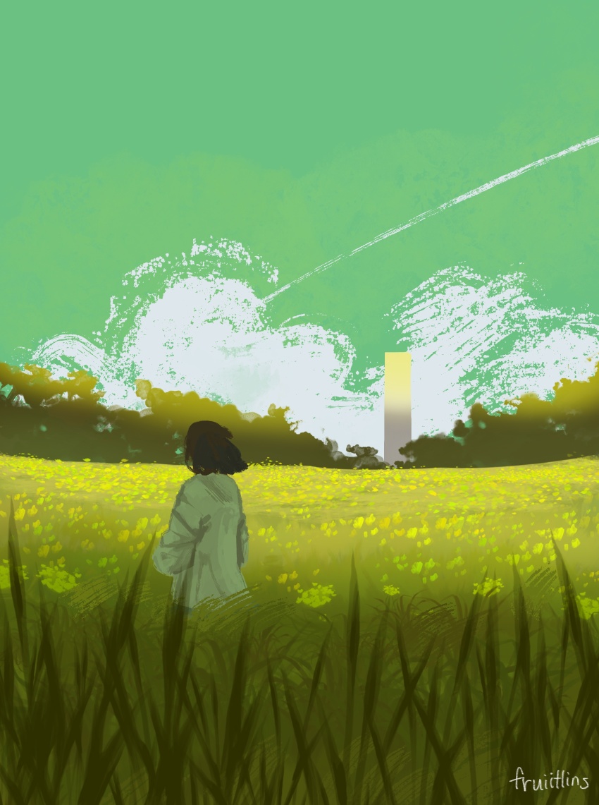 1girl, absurdres, black_hair, bob_cut, cloud, cloudy_sky, coat, contrail