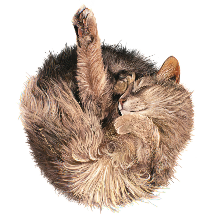 animal, animal_focus, artist_name, cat, closed_eyes, closed_mouth, commentary_request, grey_cat