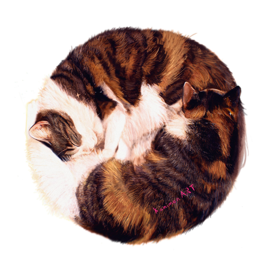 animal, animal_focus, artist_name, brown_fur, cat, closed_eyes, closed_mouth, commentary_request