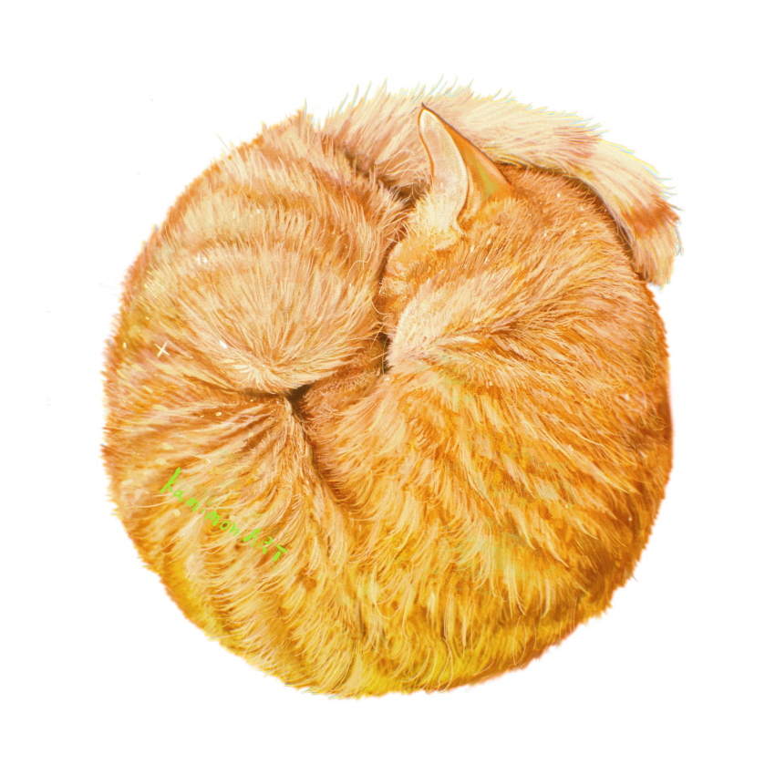 animal, animal_focus, artist_name, cat, commentary_request, highres, kamimon2016, no_humans