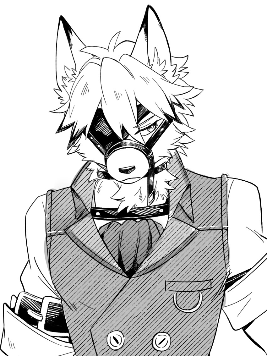 1boy, absurdres, animal_ears, ascot, closed_mouth, colored_tips, commentary, english_commentary