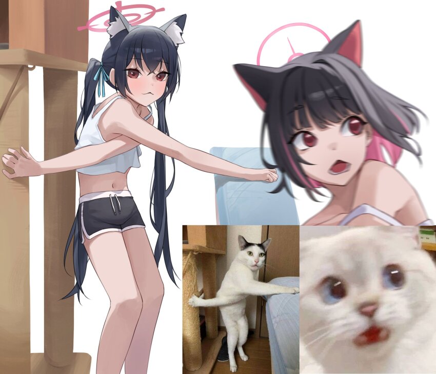 2girls, :3, animal_ear_fluff, animal_ears, black_hair, black_shorts, blue_archive, blue_ribbon