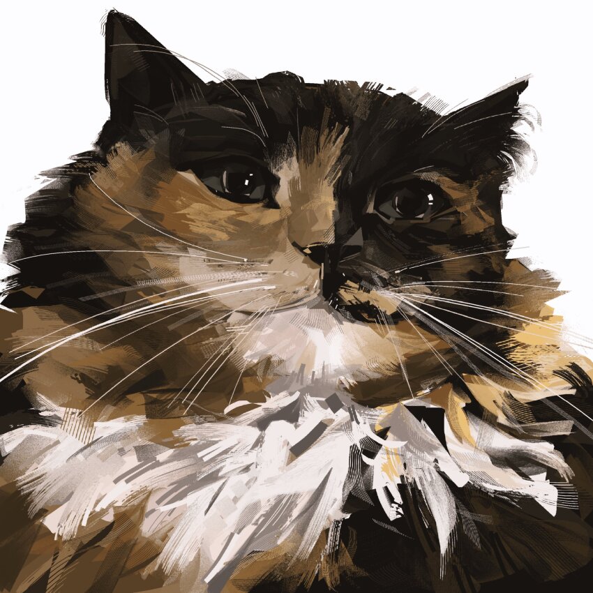 animal, cat, highres, junbuug, maine_coon, no_humans, original, painterly, simple_background, still_life, upper_body, whiskers, white_background