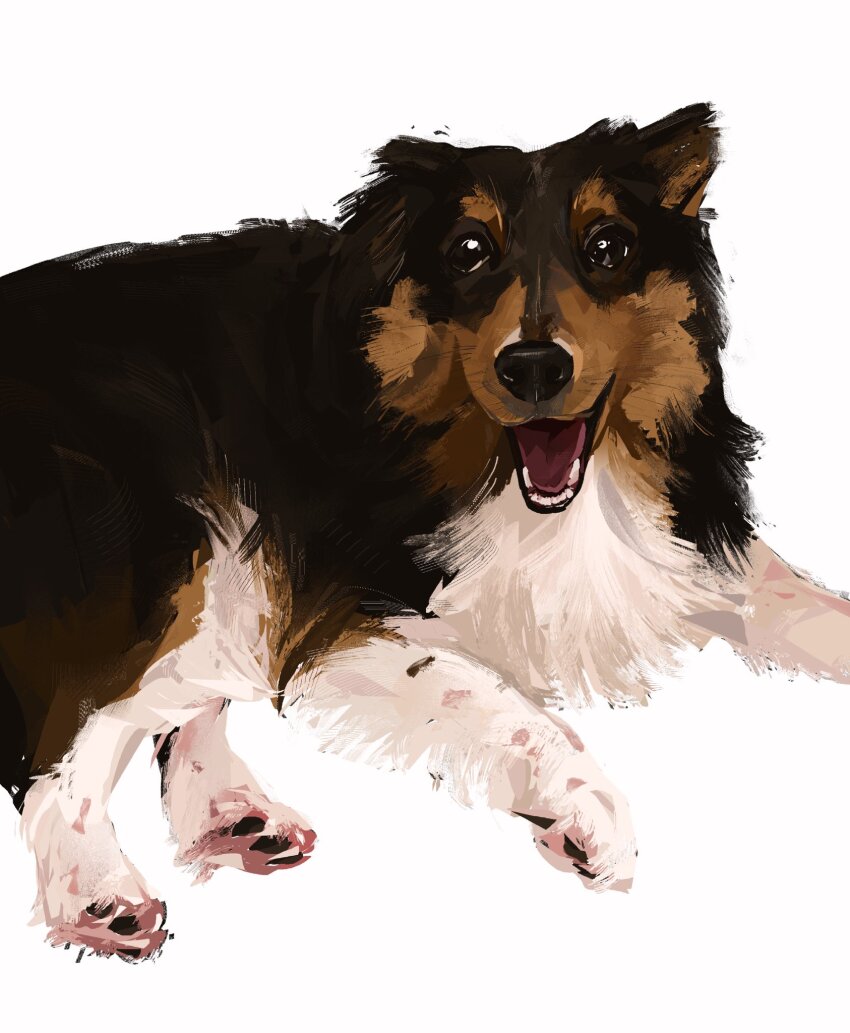 animal, dog, highres, junbuug, looking_at_viewer, lying, no_humans, on_ground