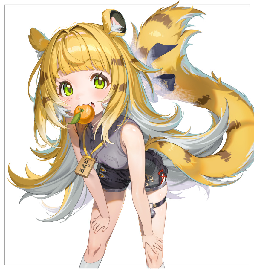 1girl, absurdres, animal_ears, highres, ju_fufu, mika_030, solo, striped_fur