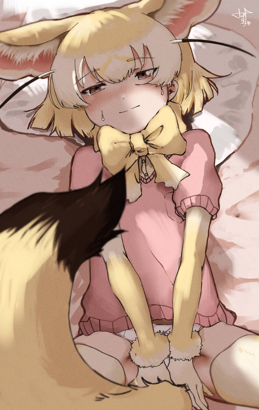 1girl, absurdres, animal_ears, black_hair, blonde_hair, blurry, blurry_foreground, bow, bowtie, breast_pocket, brown_eyes, closed_mouth, covering_crotch, covering_privates, extra_ears, fennec_(kemono_friends), fox_ears, fox_girl, fox_tail, from_above, fur-trimmed_sleeves, fur_trim, fuzhuz, gloves, half-closed_eyes, head_on_pillow, highres, kemono_friends, layered_sleeves, light_smile, long_sleeves, looking_at_viewer, lying, medium_hair, multicolored_hair, no_pants, on_back, panties, pillow, pink_sweater, pocket, short-sleeved_sweater, short_over_long_sleeves, short_sleeves, solo, spread_legs, sweat, sweater, tail, thighhighs, underwear, v_arms, white_hair, white_panties, yellow_bow, yellow_bowtie, yellow_thighhighs