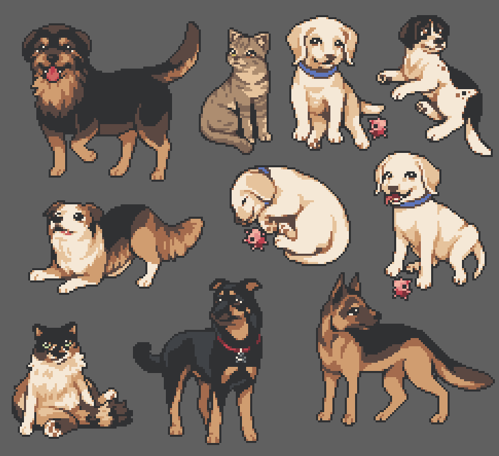 animal, animal_focus, baby_animal, black_fur, blue_collar, brown_cat, brown_fur, cat