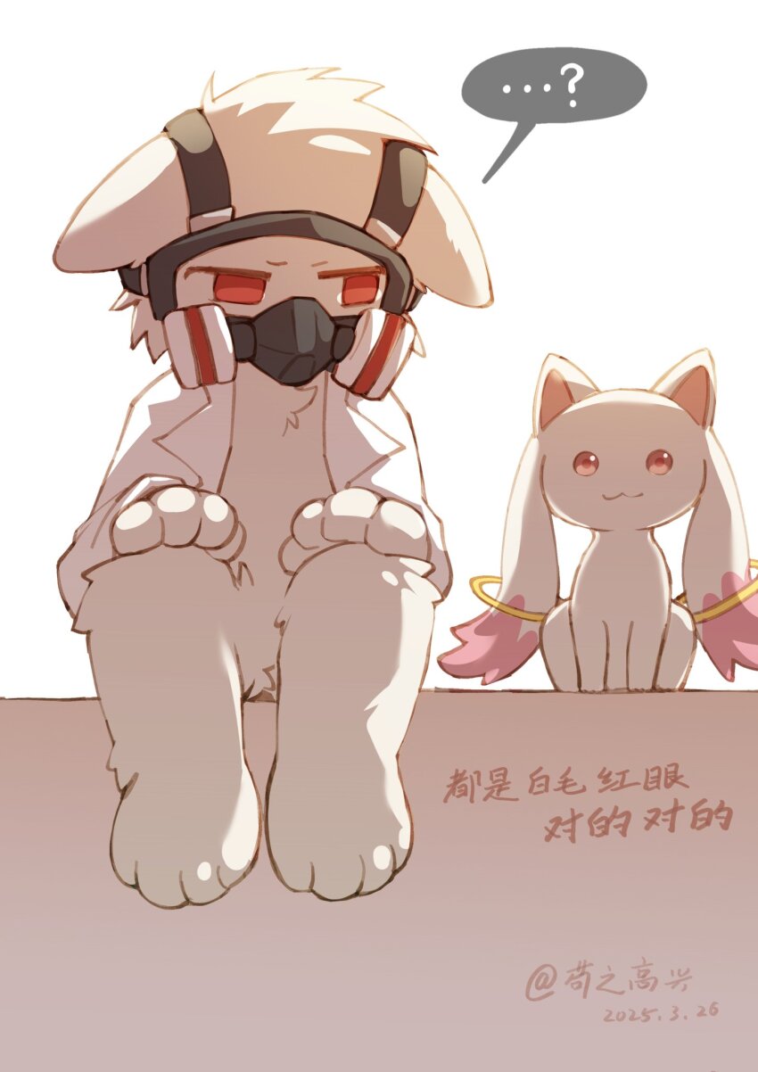 ...?, 1boy, 1other, :3, animal_ears, changed, confused, creature, crossover, dog_of_happy, dr_k_(changed), droopy_ears, expressionless, floppy_ears, furry, highres, jacket, kyubey, lab_coat, long_sleeves, looking_at_viewer, mahou_shoujo_madoka_magica, mask, naked_lab_coat, open_clothes, open_jacket, pointy_ears, raised_inner_eyebrows, red_eyes, respirator, signature, sitting, speech_bubble, very_long_ears, white_fur, wolf, wolf_ears