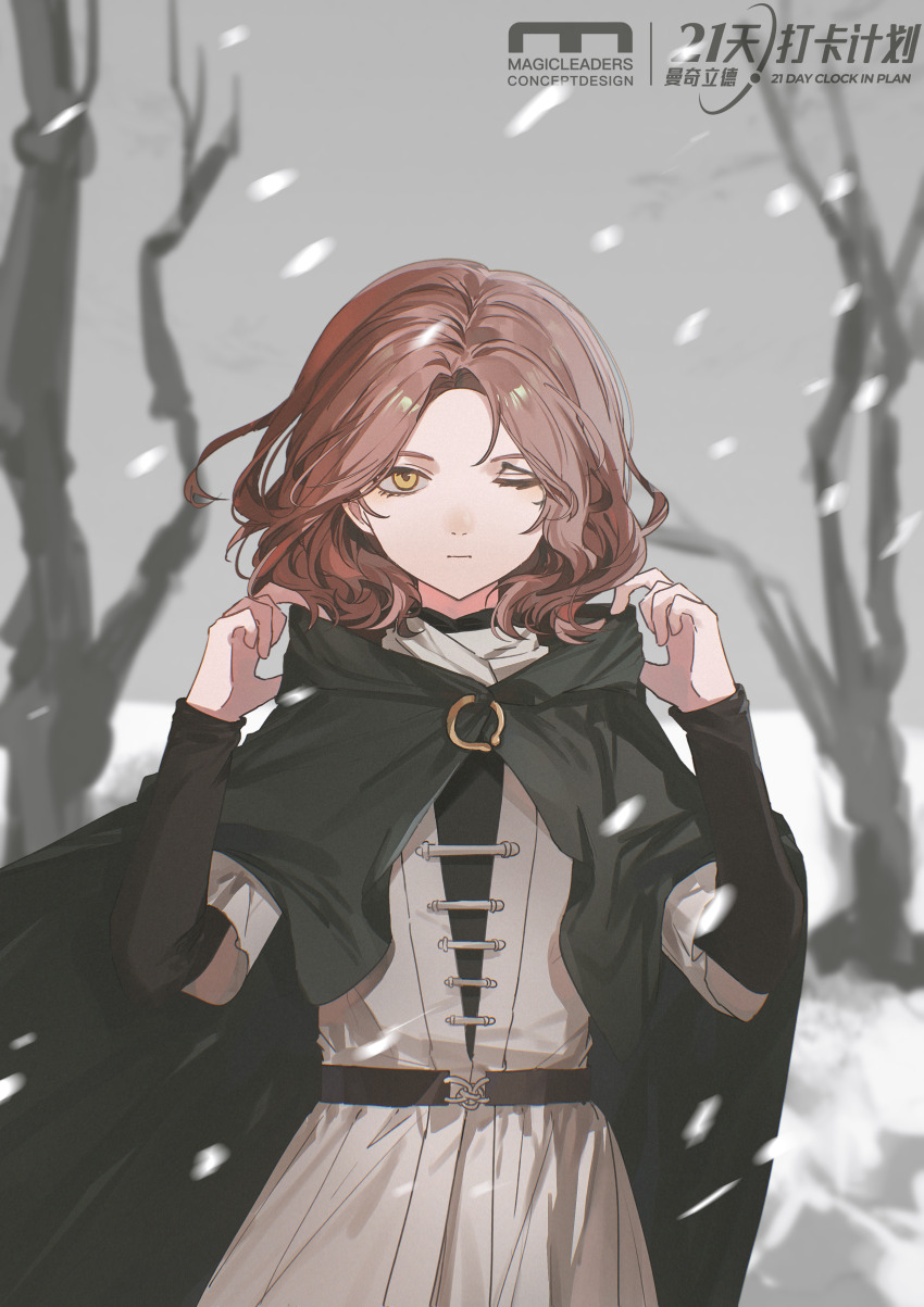 1girl, absurdres, belt, black_belt, brown_hair, cape, closed_mouth, commentary