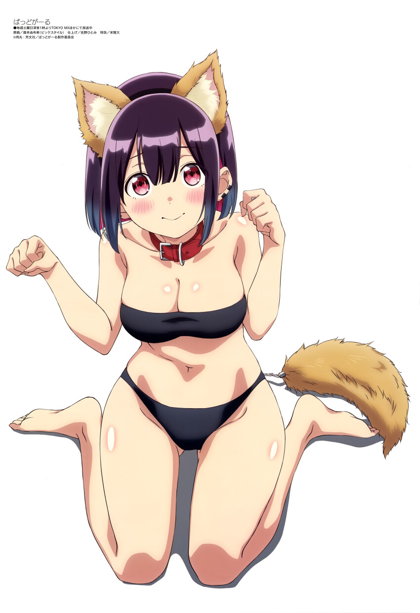 1girl, absurdres, animal_ears, bad_girl_(manga), bikini, black_bikini, breasts, cleavage, fake_animal_ears, fake_tail, full_body, highres, magazine_scan, medium_breasts, megami_magazine, midriff, morimoto_yufuki, navel, official_art, scan, simple_background, sitting, solo, swimsuit, tail, thighs, wariza, white_background, yuutani_yuu