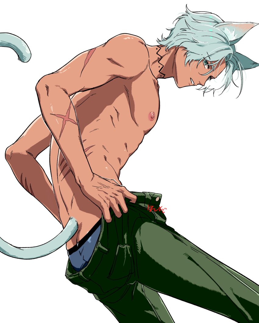 1boy, animal_ear_fluff, animal_ears, blue_male_underwear, cat_boy, cat_ears, cat_tail, commentary, dark-skinned_male, dark_skin, genshin_impact, green_eyes, green_pants, grey_hair, hair_between_eyes, highres, hoshida_(216), ifa_(genshin_impact), looking_at_viewer, looking_to_the_side, male_focus, male_underwear, male_underwear_peek, nipples, pants, parted_bangs, parted_lips, pectorals, scar, scar_on_arm, scar_on_back, short_hair, simple_background, solo, untranslatable_commentary, tail, topless_male, underwear, white_background