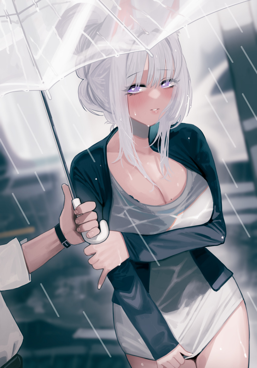 1girl, absurdres, animal_ear_fluff, animal_ears, azur_lane, black_bra, black_jacket, blush