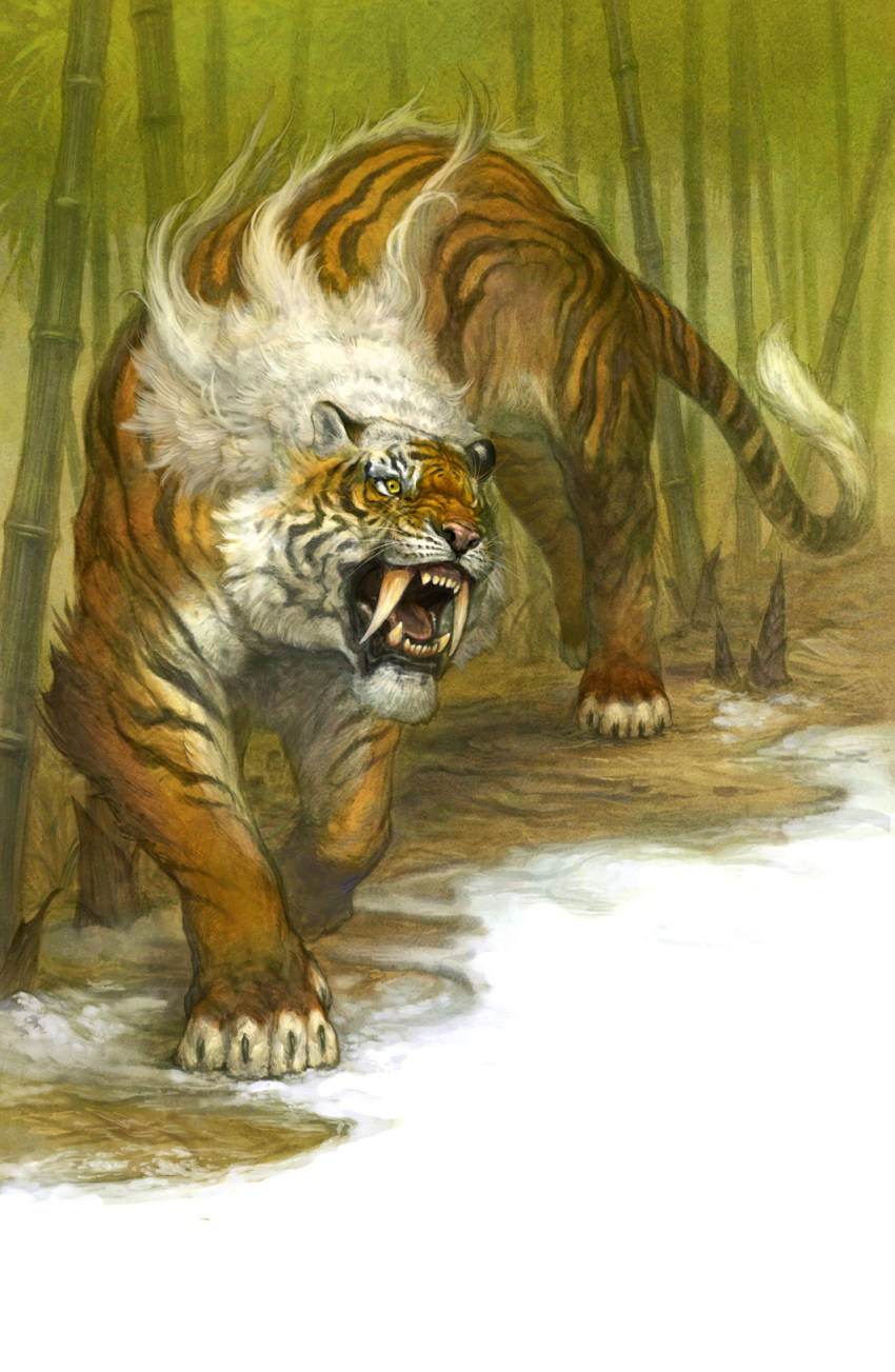 animal, animal_hands, bamboo, fangs, g.river, highres, no_humans, open_mouth, sabertooth_tiger, solo, tiger, walking, whiskers