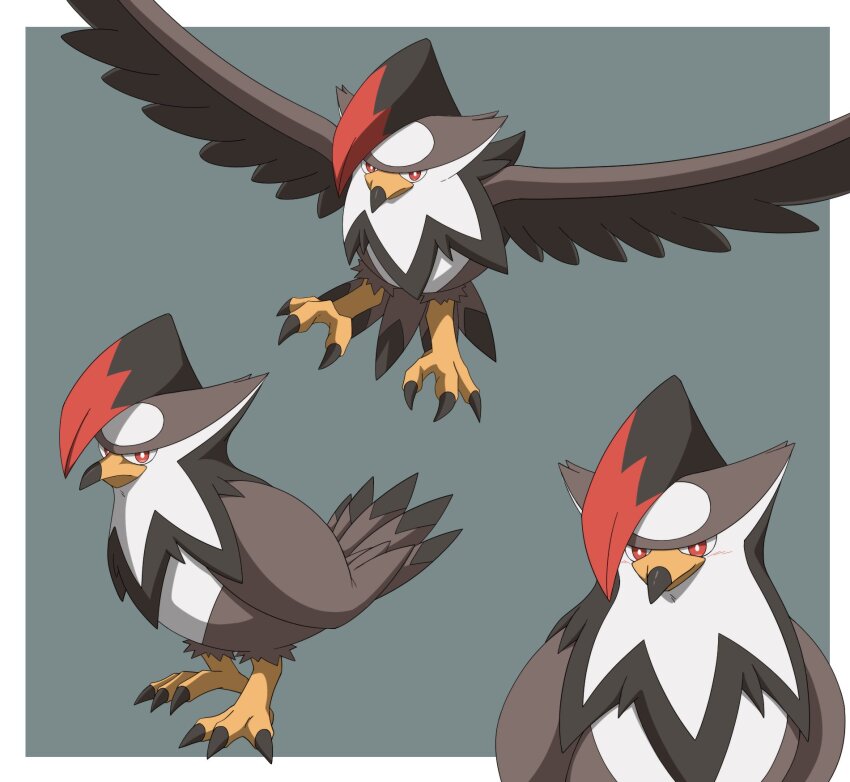beak, bird, blush, border, commentary, gen_4_pokemon, highres, inahon485, looking_at_viewer, multiple_views, nintendo, no_humans, outside_border, pokemon, pokemon_(creature), pokemon_focus, red_eyes, staraptor, untranslatable_commentary, talons, white_border, wings