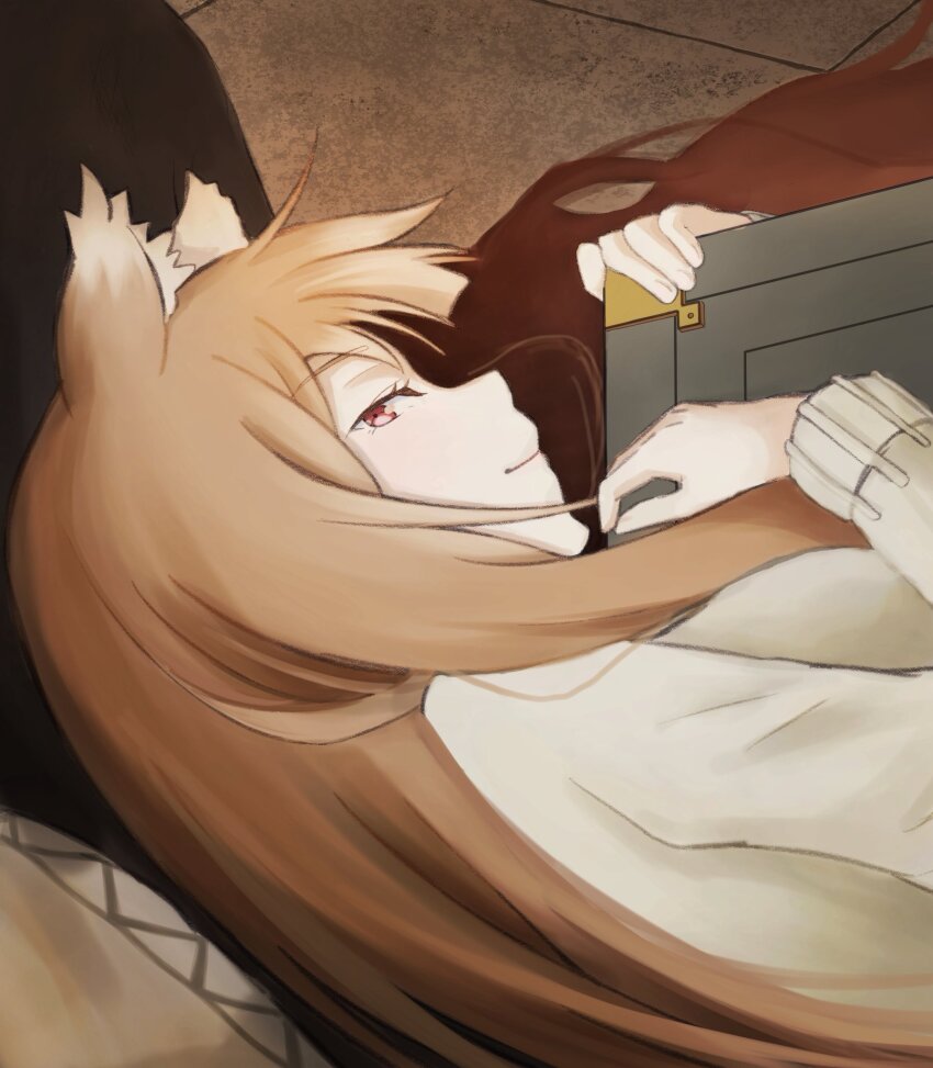 1boy, 1girl, animal_ear_fluff, animal_ears, book, brown_hair, closed_mouth, craft_lawrence, from_above, hands_up, highres, holding, holding_book, holo, lap_pillow, long_hair, long_sleeves, looking_at_viewer, lying, makitekka, on_side, pov, red_eyes, smile, spice_and_wolf, tile_floor, tiles, very_long_hair, wolf_ears, wolf_girl
