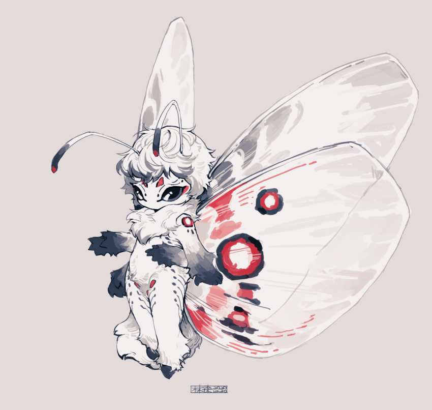 1girl, antennae, arthropod_girl, arthropod_tail, black_eyes, body_fur, butterfly_girl, butterfly_wings